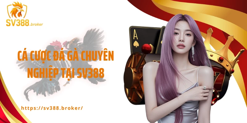 Cá cược đá gà sang chảnh, chuyên nghiệp tại SV388