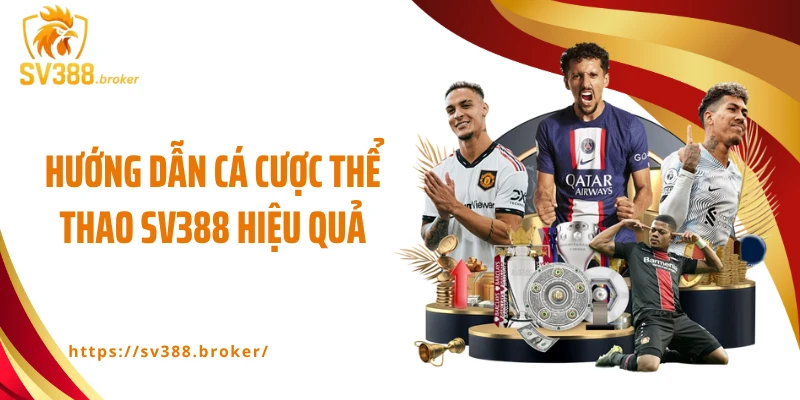 Hướng dẫn cá cược thể thao SV388 hiệu quả