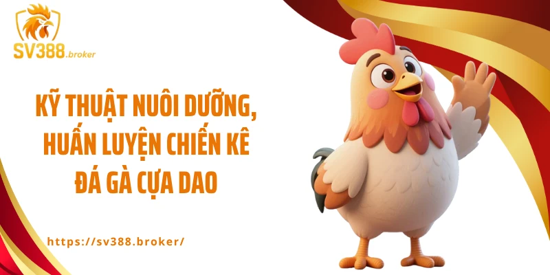 Kỹ thuật nuôi dưỡng, huấn luyện chiến kê đá gà cựa dao