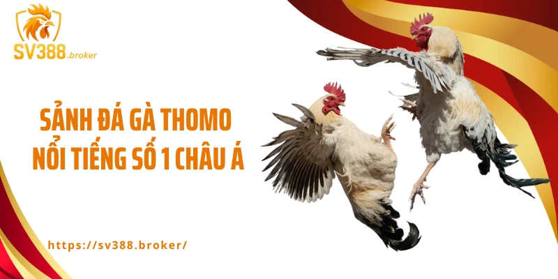 Sảnh đá gà Thomo nổi tiếng số 1 châu Á