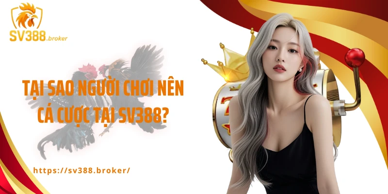 Tại sao người chơi nên cá cược tại SV388?