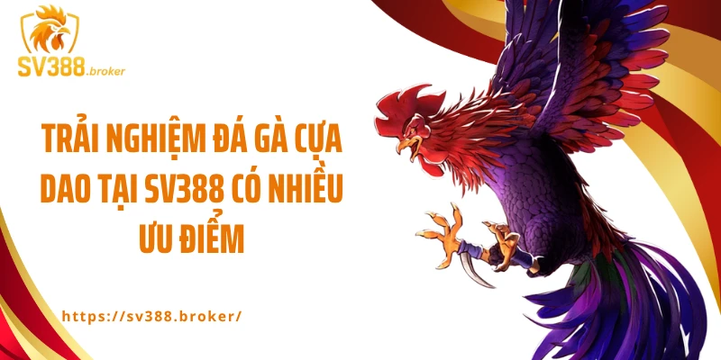 Trải nghiệm đá gà cựa dao tại SV388 có nhiều ưu điểm